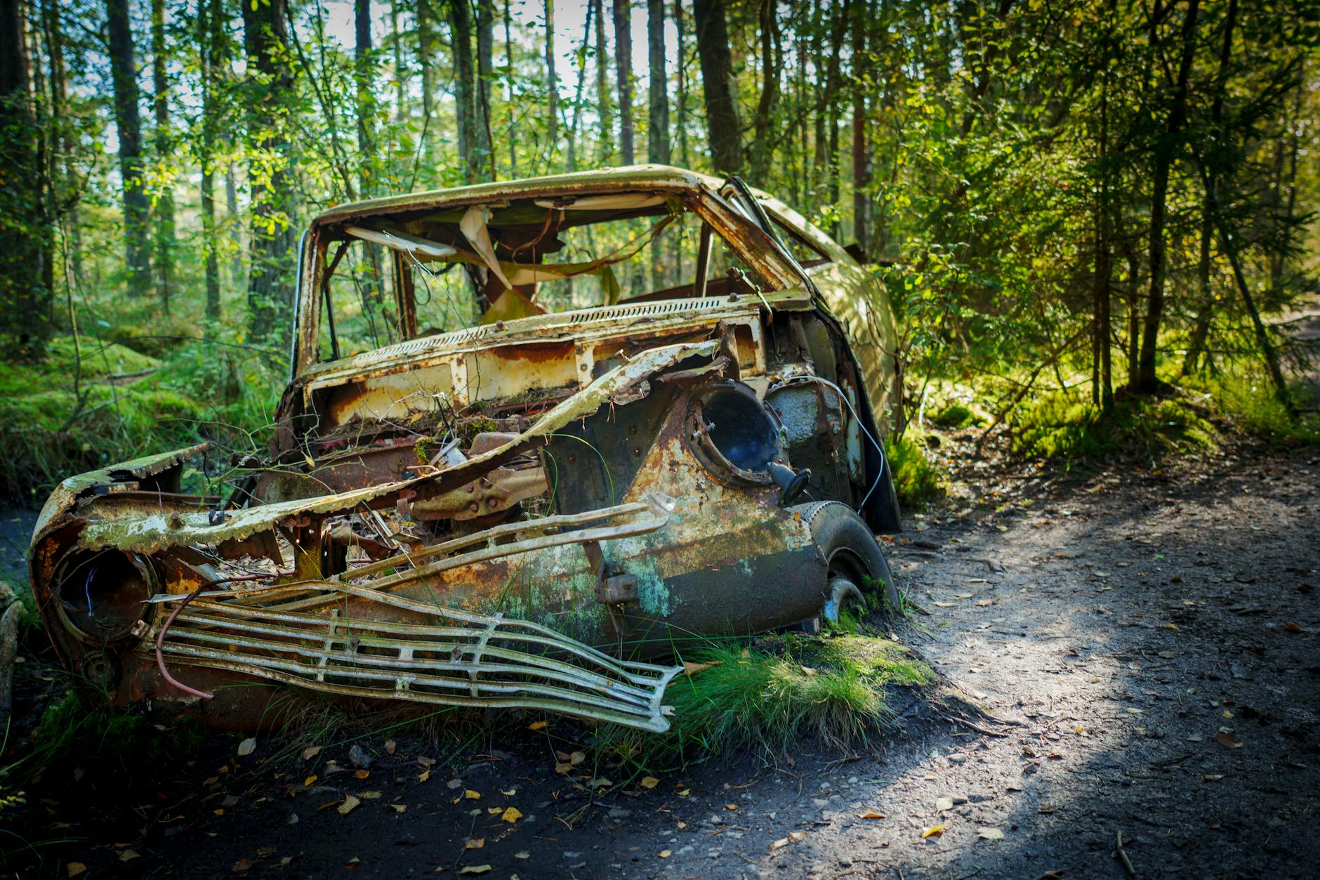 A rusted, abandoned car decaying in a sunny forest setting, creating a contrast between nature and human neglect.